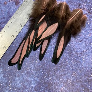 Peach Laced Craft Feathers: Fly Fishing, Earring Making - 12pcs