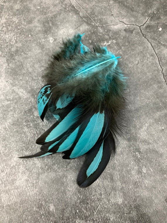 Turquoise Blue Craft Feathers Laced Hen Saddle Small Feathers Etsy