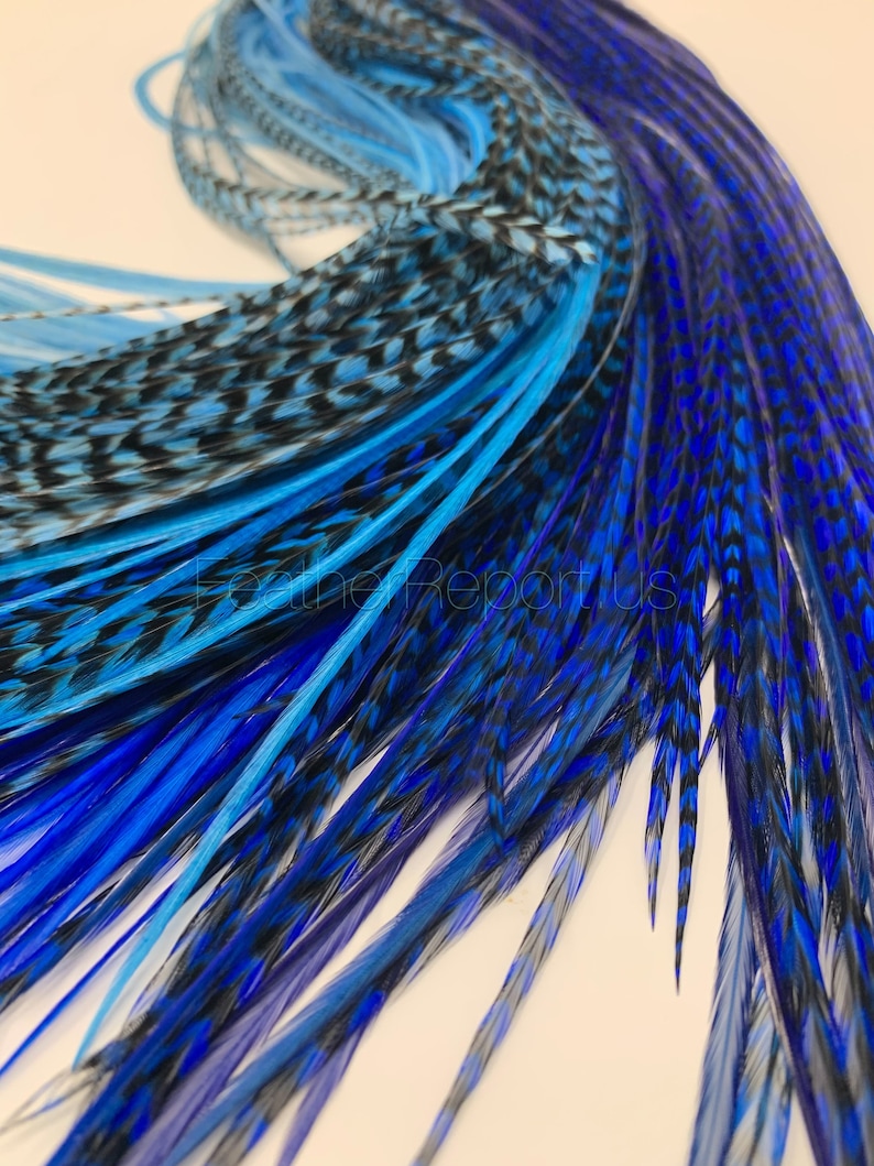 Blue Feather Hair Extensions Long Rooster Feathers for Hair Etsy