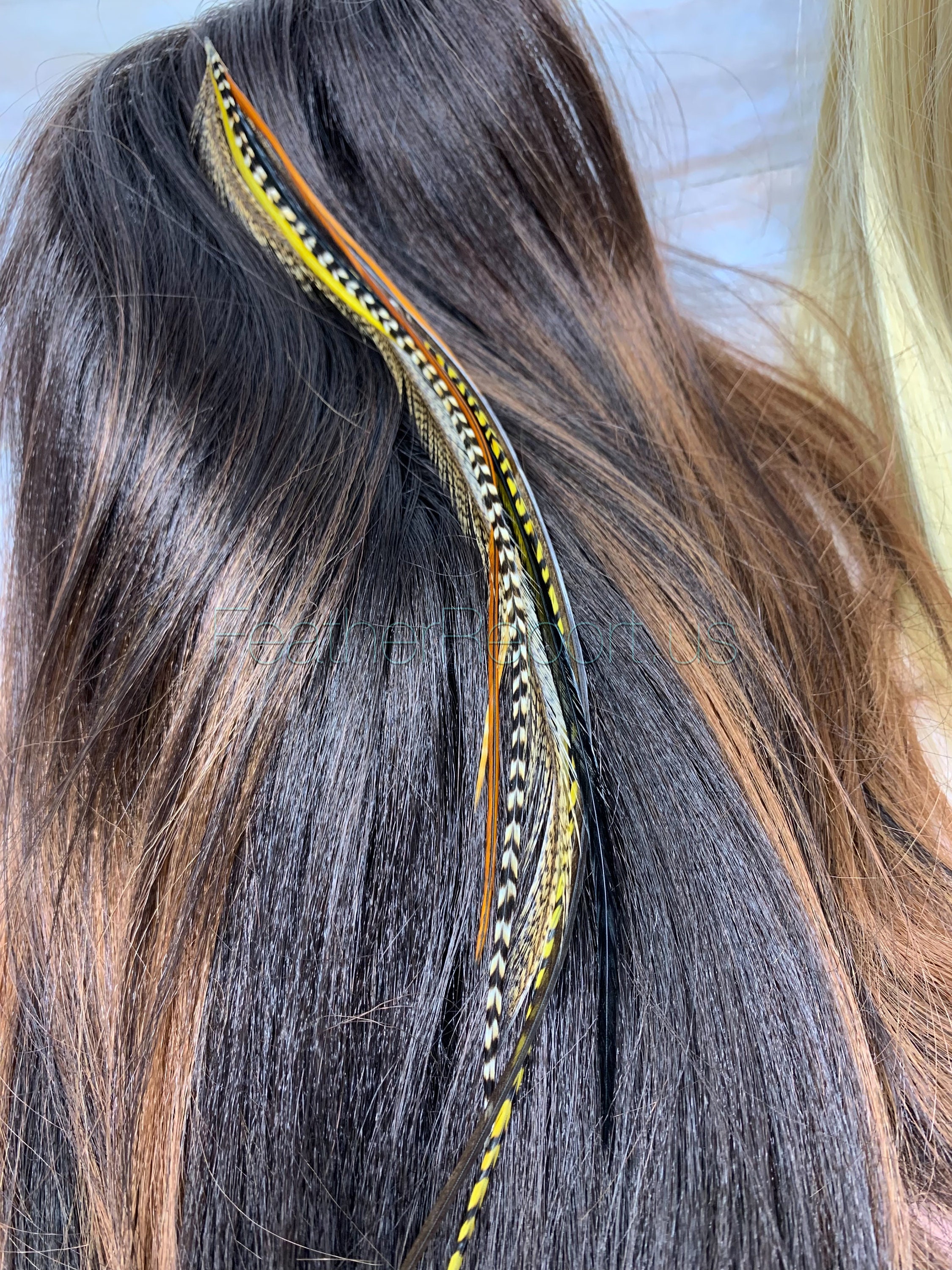 Rainbow Hair Extension Feathers Colorful Bright Colored Feather