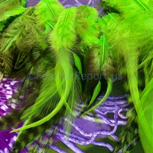 Kelly Green Bulk Feathers for Crafts CDL American Pheasant Rooster Chicken Feathers Arts and Crafts Feathers Fly Tying Variety Pack of 50 image 10