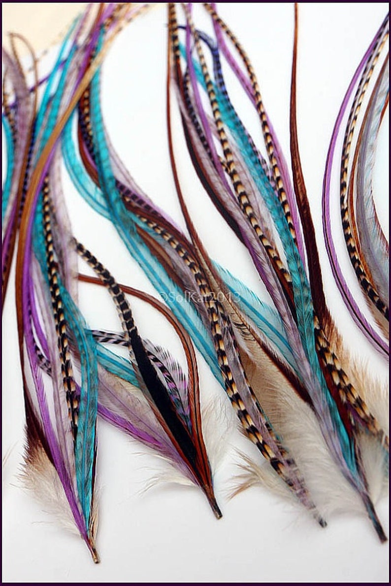 перо фазана. красивые длинные перья. длинные интерьерные перья. длинные перья. перья в волосы.