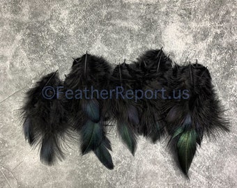 Black Craft Feathers Small Hrn Saddle Light Fluffy Dyed Jet Black Chicken Feathers for Crafts Bows Pets 20 pcs