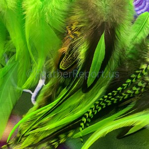 Kelly Green Bulk Feathers for Crafts CDL American Pheasant Rooster Chicken Feathers Arts and Crafts Feathers Fly Tying Variety Pack of 50 image 2