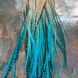 Puede incluir: Un manojo de largas plumas azul turquesa con marcas negras. Las plumas est&aacute;n atadas en la parte superior y tienen un efecto degradado natural con un color marr&oacute;n m&aacute;s claro en la parte superior.