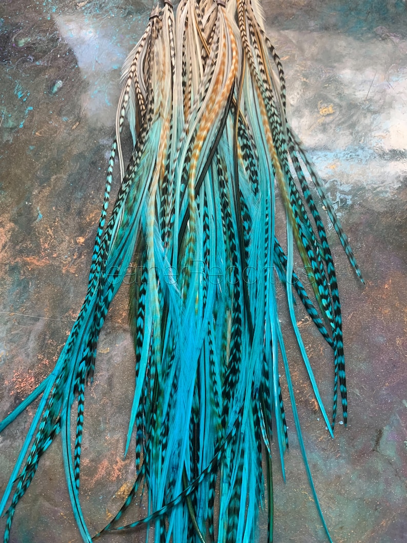 Puede incluir: Un manojo de largas plumas azul turquesa con marcas negras. Las plumas est&aacute;n atadas en la parte superior y tienen un efecto degradado natural con un color marr&oacute;n m&aacute;s claro en la parte superior.