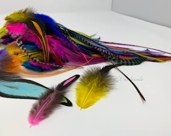 Bulk Rooster Craft Feathers Colors Only Mix Grizzly Feathers Laced Feathers Ombre Feathers Mixed Lot of Chicken Feathers Pot Luck 100 pcs