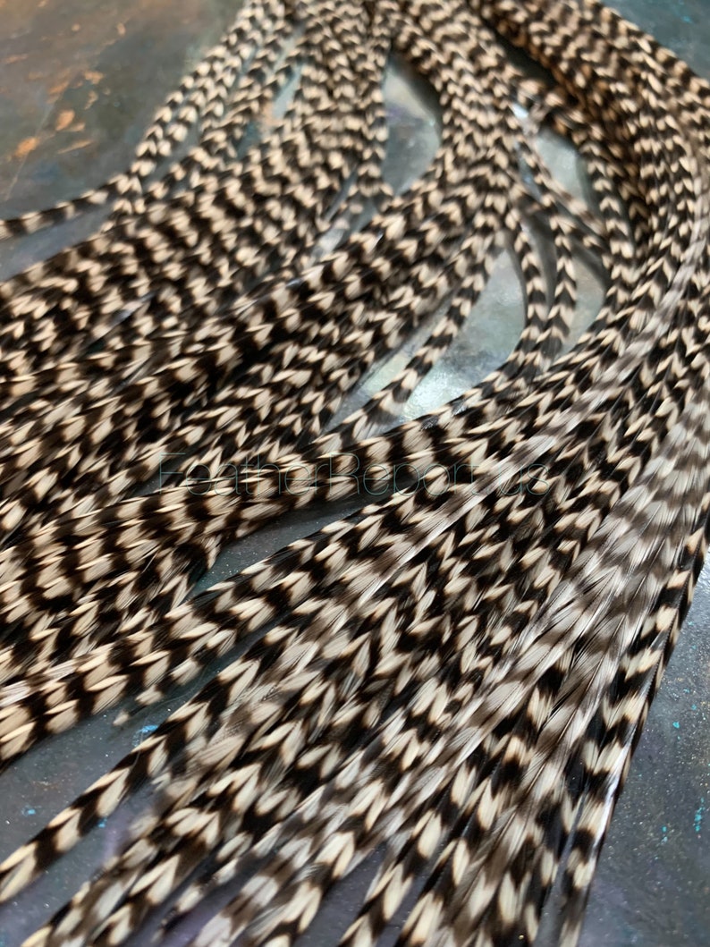 grizzly rooster feathers for hair extensions, fly tying and crafting group picture of several bundles of natural real feathers