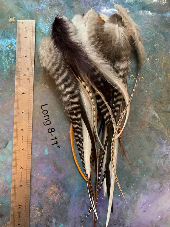 Natural Craft Feathers Bulk Earring Feathers for Earrings Fly Tying  Feathers Patterned Thin Craft Feathers Feather Extensions 25 per Pack 