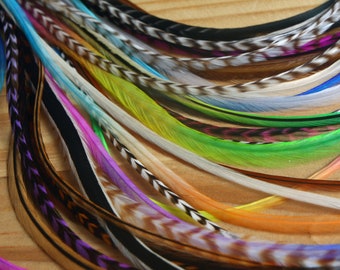 May include: A collection of colorful feathers, including blue, green, purple, and orange, arranged in a fan shape. The feathers are long and thin, with a natural texture.