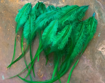 Green Rooster Feathers Holiday Craft Feathers Bright Green Feathers Craft Supply Jewelry Making Feathers 24PCS