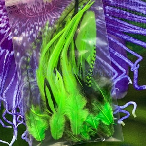 Kelly Green Bulk Feathers for Crafts CDL American Pheasant Rooster Chicken Feathers Arts and Crafts Feathers Fly Tying Variety Pack of 50 image 4