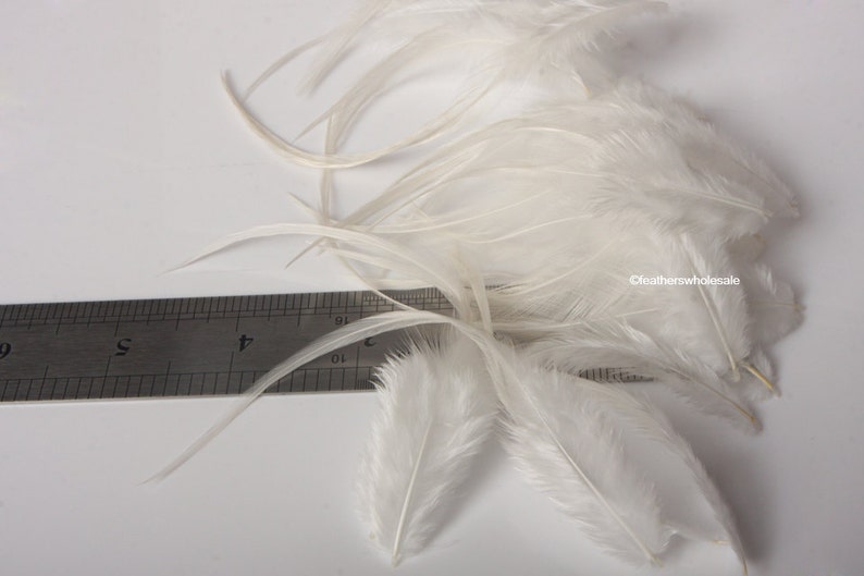 White Rooster Feathers Craft Feathers Natural White Creme Etsy