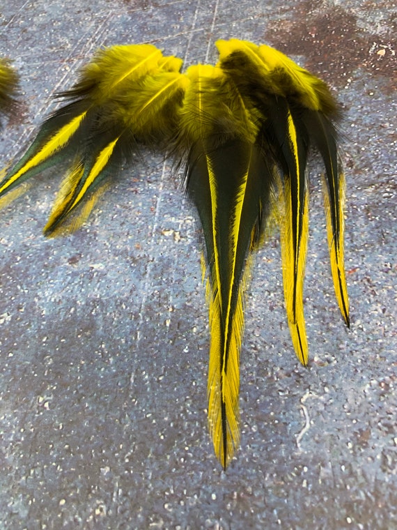 Yellow Feathers for Crafts