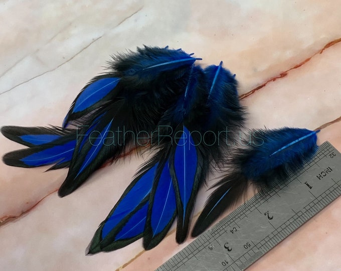 Small Blue Feathers Blue Laced Feather Crafting Plumes Blue Etsy