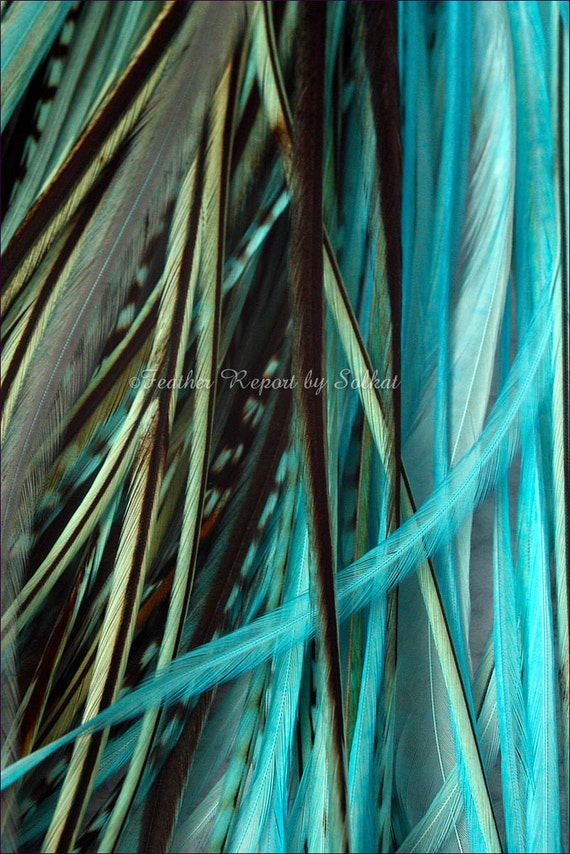 Aqua Turquoise Feather Hair Extensions 10 Long Hair Feathers
