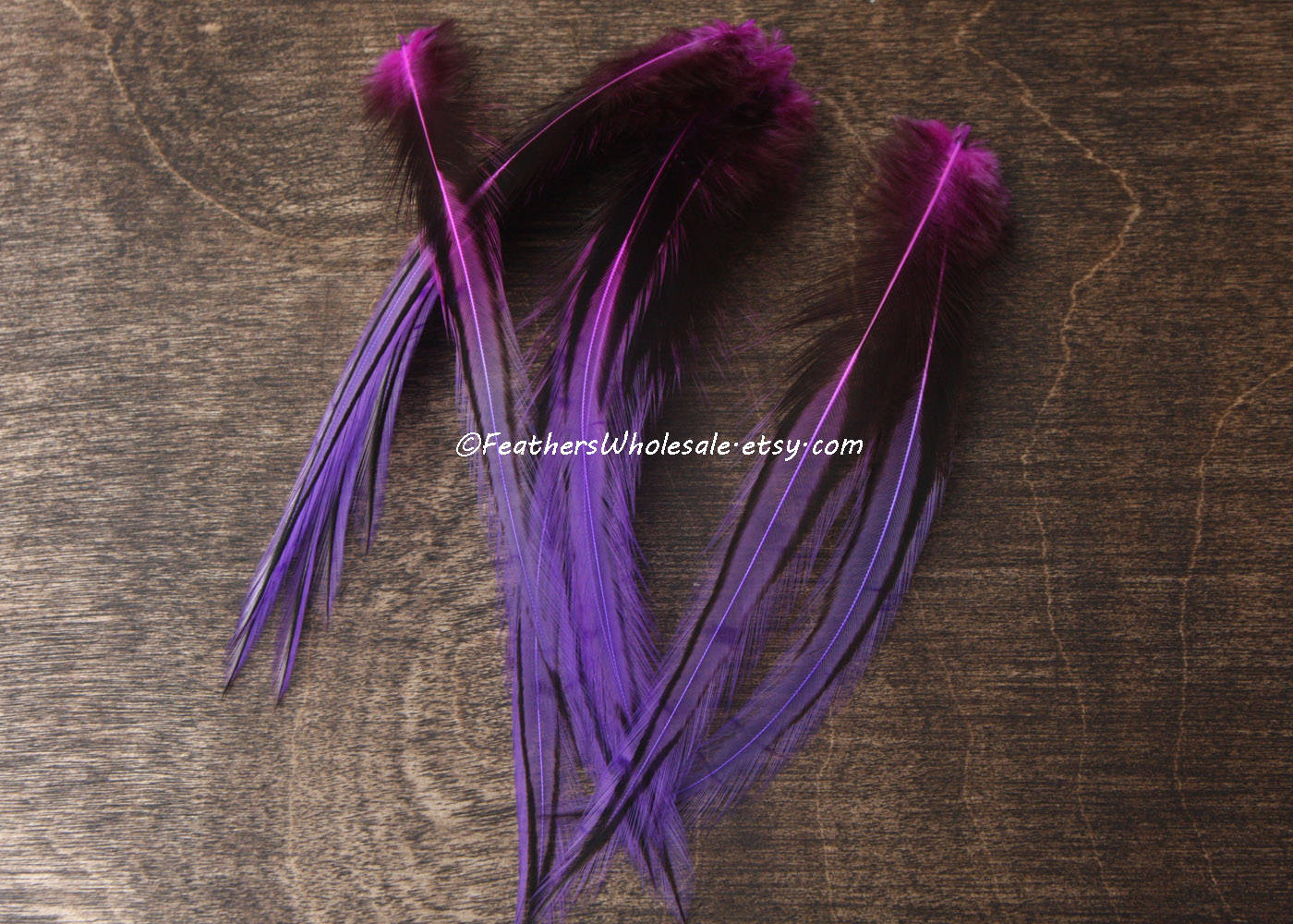 Purple Pink Rooster Feathers Rainbow Feathers Laced Ombre