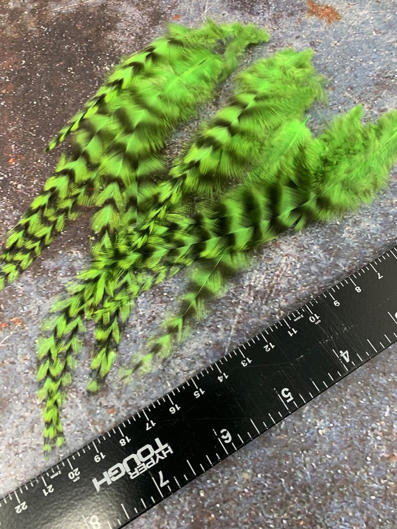 FLORESCENT GREEN SADDLE ROOSTER CRAFT HAIR FEATHER 5"-6"L 15 FLORESCENT GREEN SADDLE ROOSTER CRAFT HAIR FEATHER 5"-6"L 15