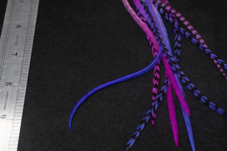 May include: A set of colorful feathers with black and white markings. The feathers are arranged in a fan shape and are a mix of pink, purple, and blue.