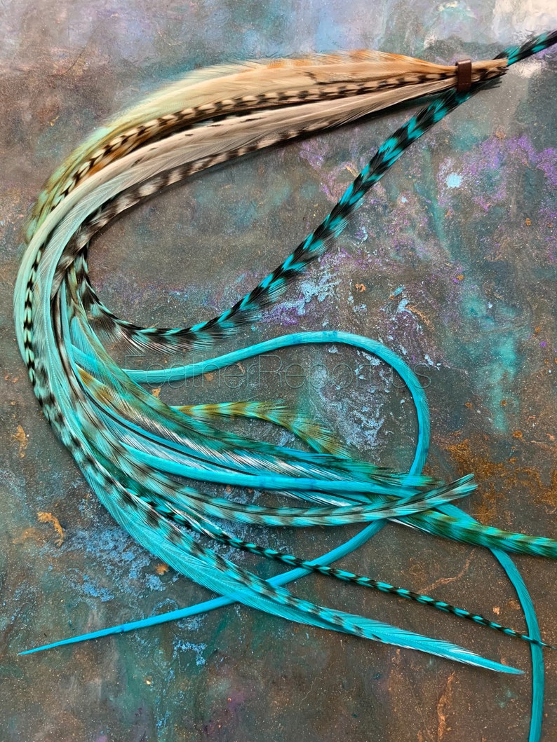 Puede incluir: Un conjunto de plumas de color azul turquesa y negro con puntas blancas. Las plumas est&aacute;n atadas con un cord&oacute;n de cuero marr&oacute;n.