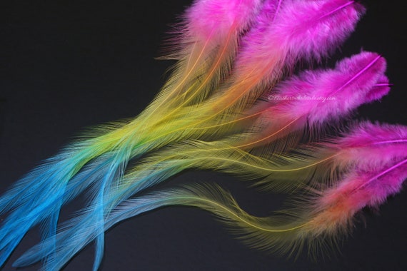 Feathers gay