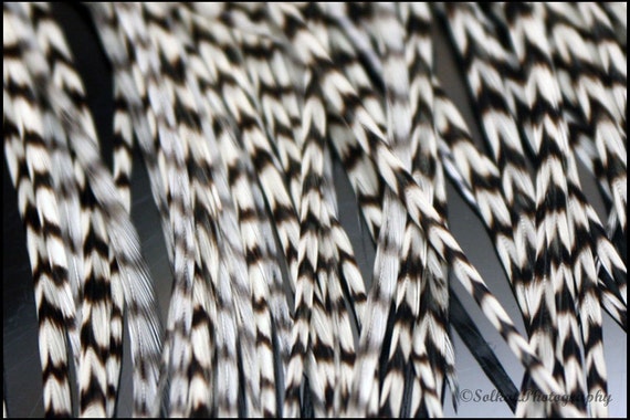 Black and white feather hair extensions 2025