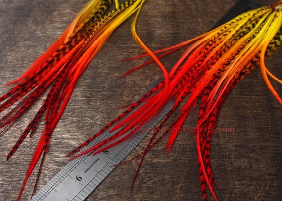 Fire Feathers Red Orange Yellow Bold Colored 15 Rooster Etsy