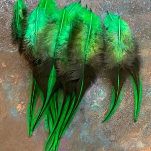 Leaf Green Rooster Feathers Supplies for Crafts Black and Green Pack of 12