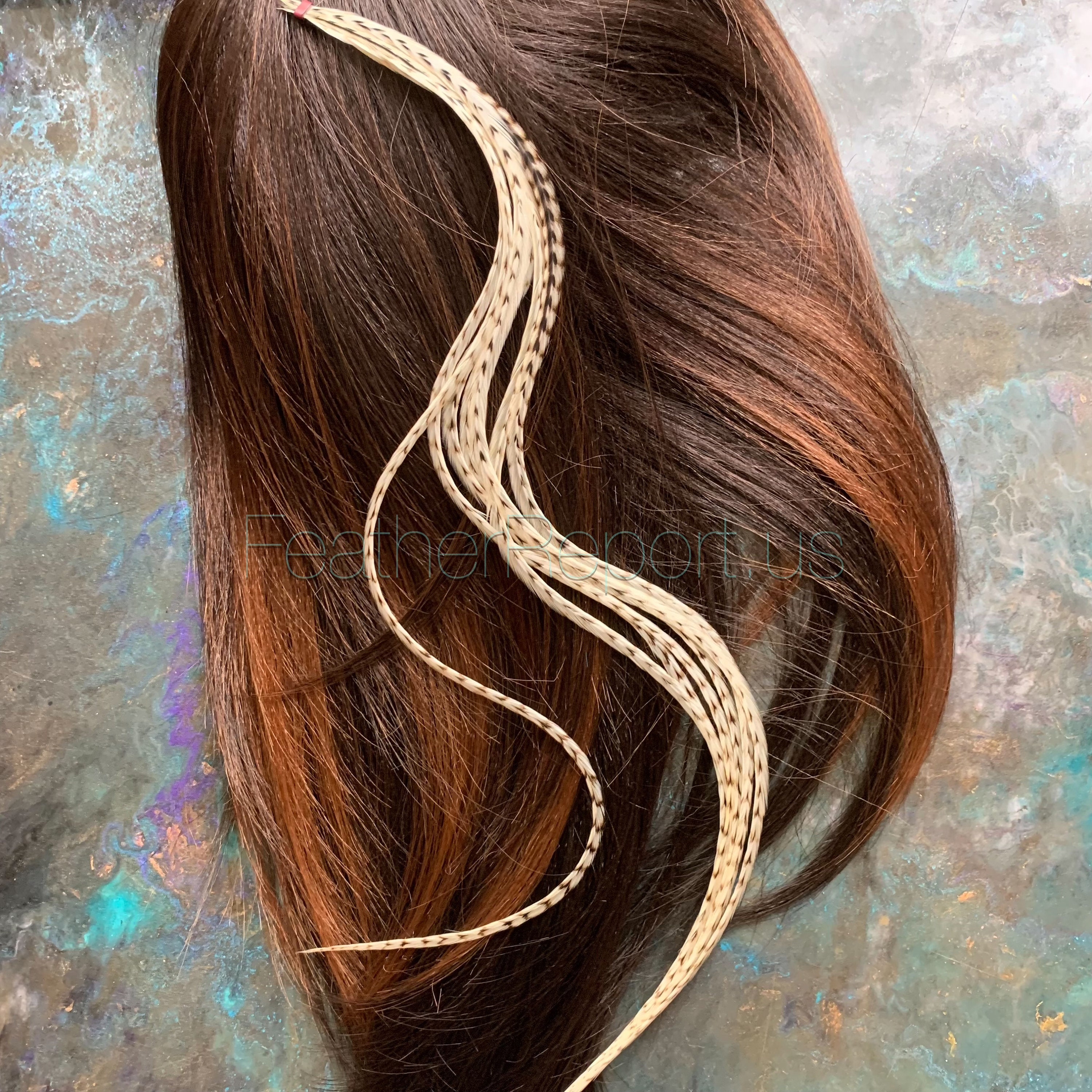 Extensions Hair Feathers For Sale Bird Hair Feather Extensions For