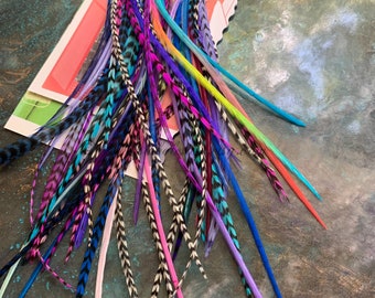 Short Hair Feathers Extensions Bulk Wholesale Pack 50 Trimmed Popular Colors Rainbow Feathers Grizzly Purple Fuchsia Blue 4to8inch