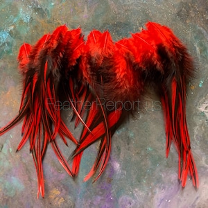 Red Craft Feathers Whiting Laced Rooster Feathers Dyed Cherry Red Black Feathers Craft Supplies afbeelding 4