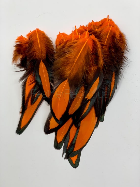 Small Orange Feathers for Crafts Laced Hen Feathers Black Orange Craft  Feathers Oval Feathers Short Orange Feathers 