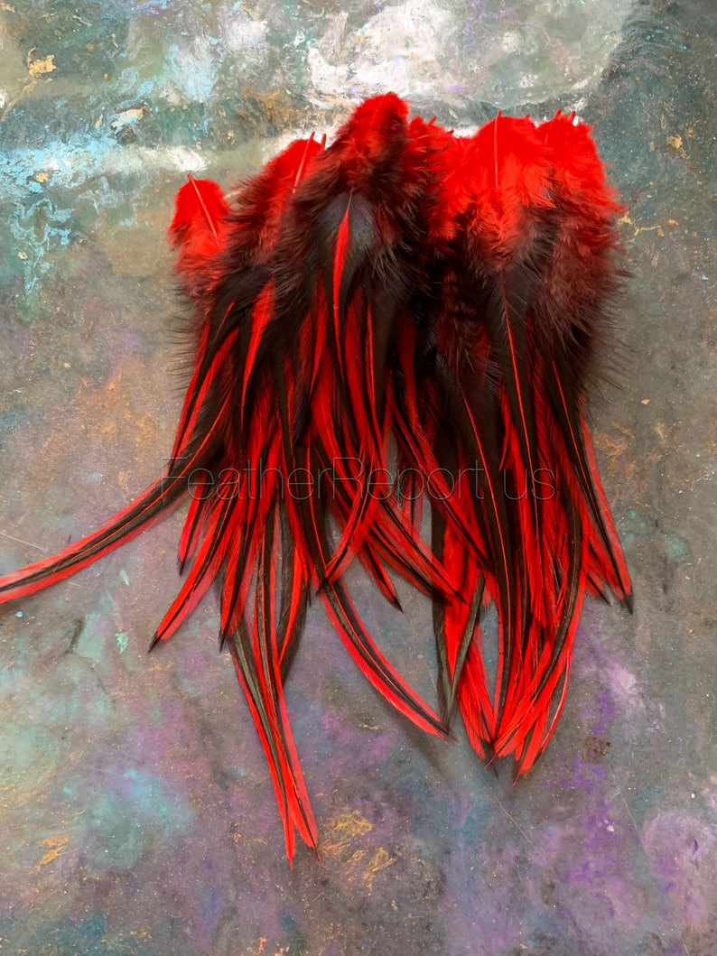 Red Craft Feathers Whiting Laced Rooster Feathers Dyed Cherry Red Black Feathers Craft Supplies afbeelding 2