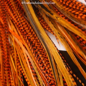 Long Hair Feathers Orange Mix Blazing Bright Peach Grizzly Solid 10PC