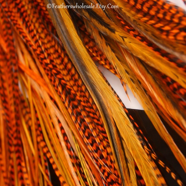 Long Hair Feathers Orange Mix Blazing Bright Peach Grizzly Solid 10PC