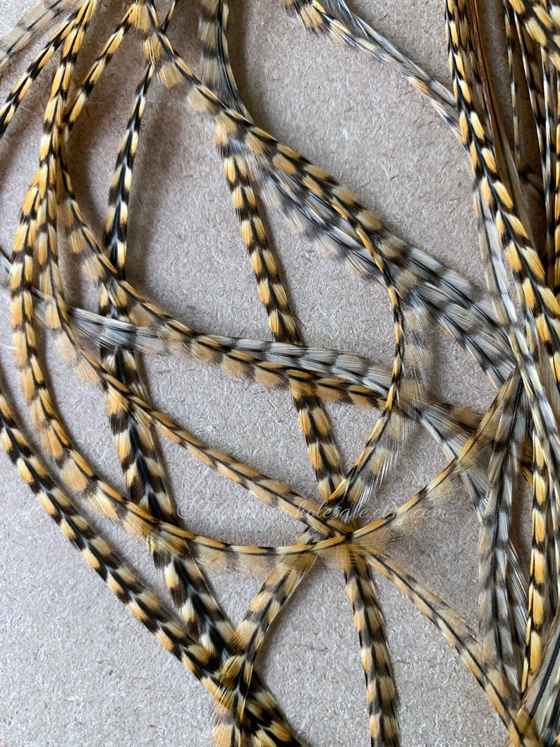 Rare Cree Eurohackle Feather Hair Extensions Rooster Feathers Etsy