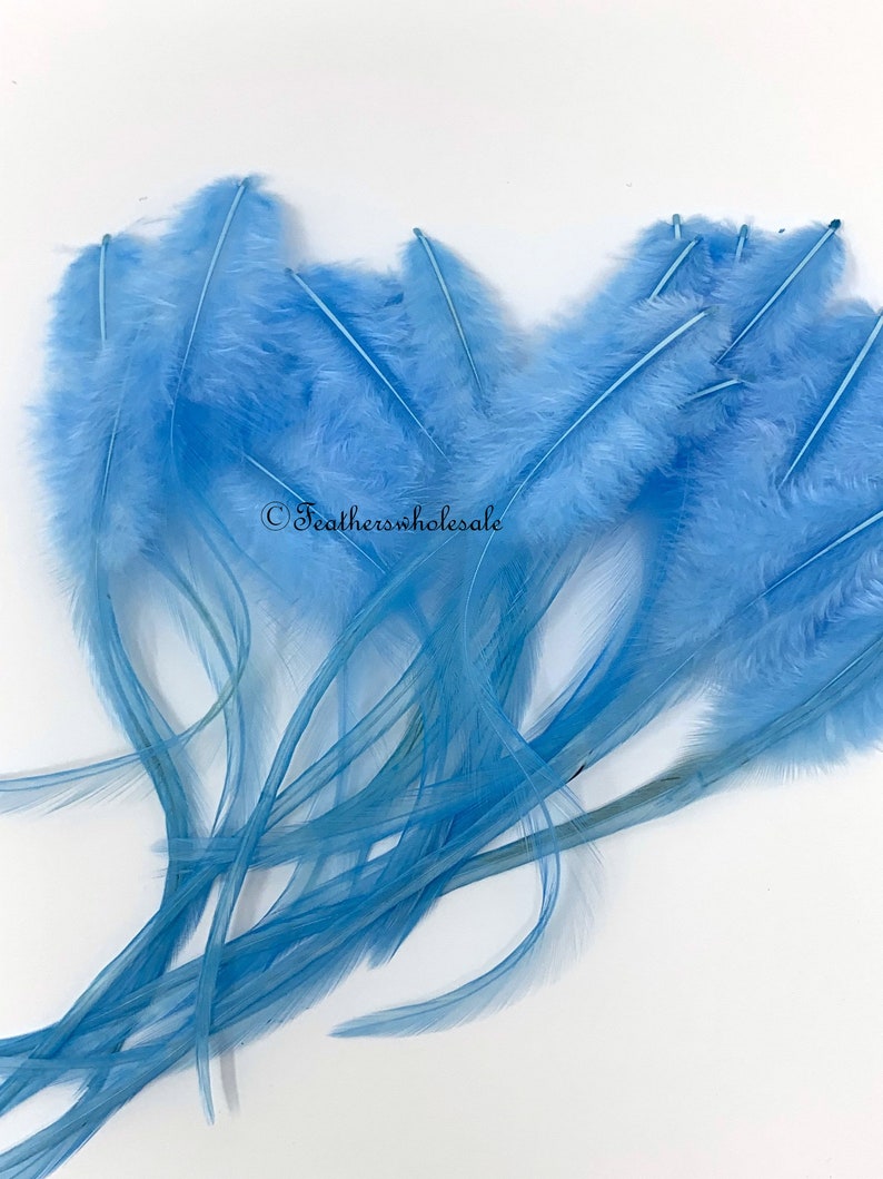 Sky Blue Craft Feathers Blue Rooster Feathers for Crafts Etsy