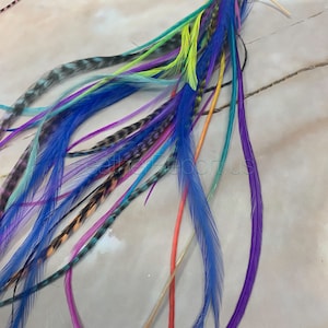 Large Assortment Rooster Hackle Flawed Feathers for Crafts Fly Tying Materials Dyed and Natural Feathers for Earrings 30 Plus 3to8inch