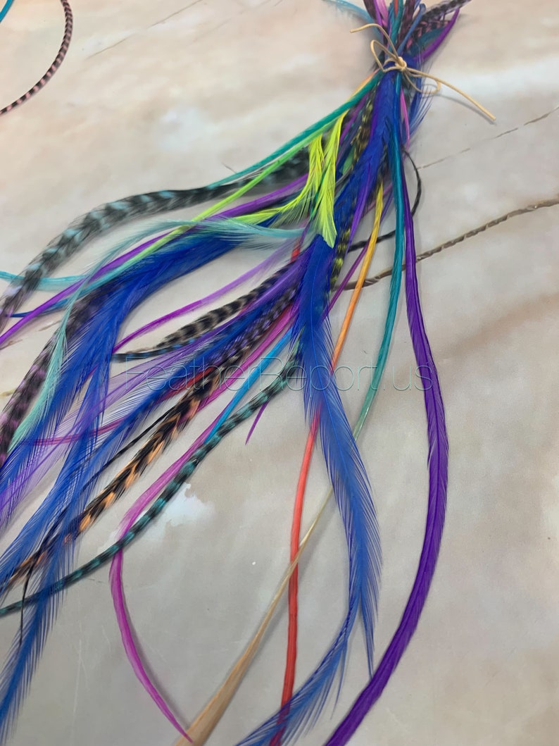Large Assortment Rooster Hackle Flawed Feathers for Crafts Fly Tying Materials Dyed and Natural Feathers for Earrings 30 Plus 3to8inch