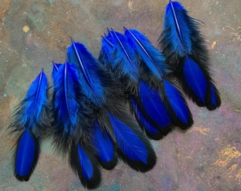 Small Blue and Black Craft Hen Feathers 12 Pack Oval Shaped Saddle
