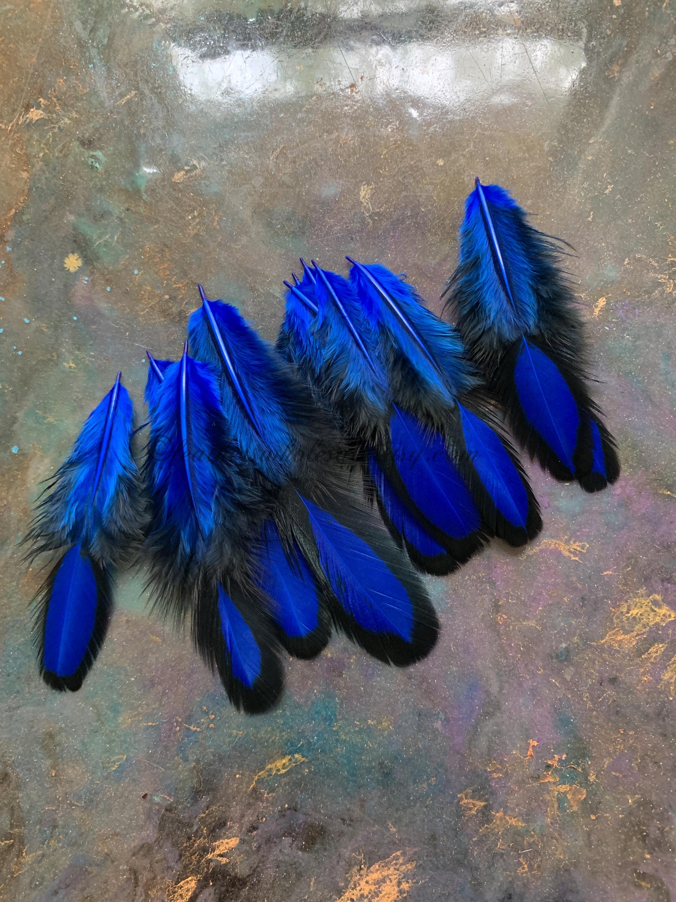 Small Blue and Black Craft Hen Feathers 12 Pack Oval Shaped Saddle Small Blue and Black Craft Hen Feathers 12 Pack Oval Shaped Saddle