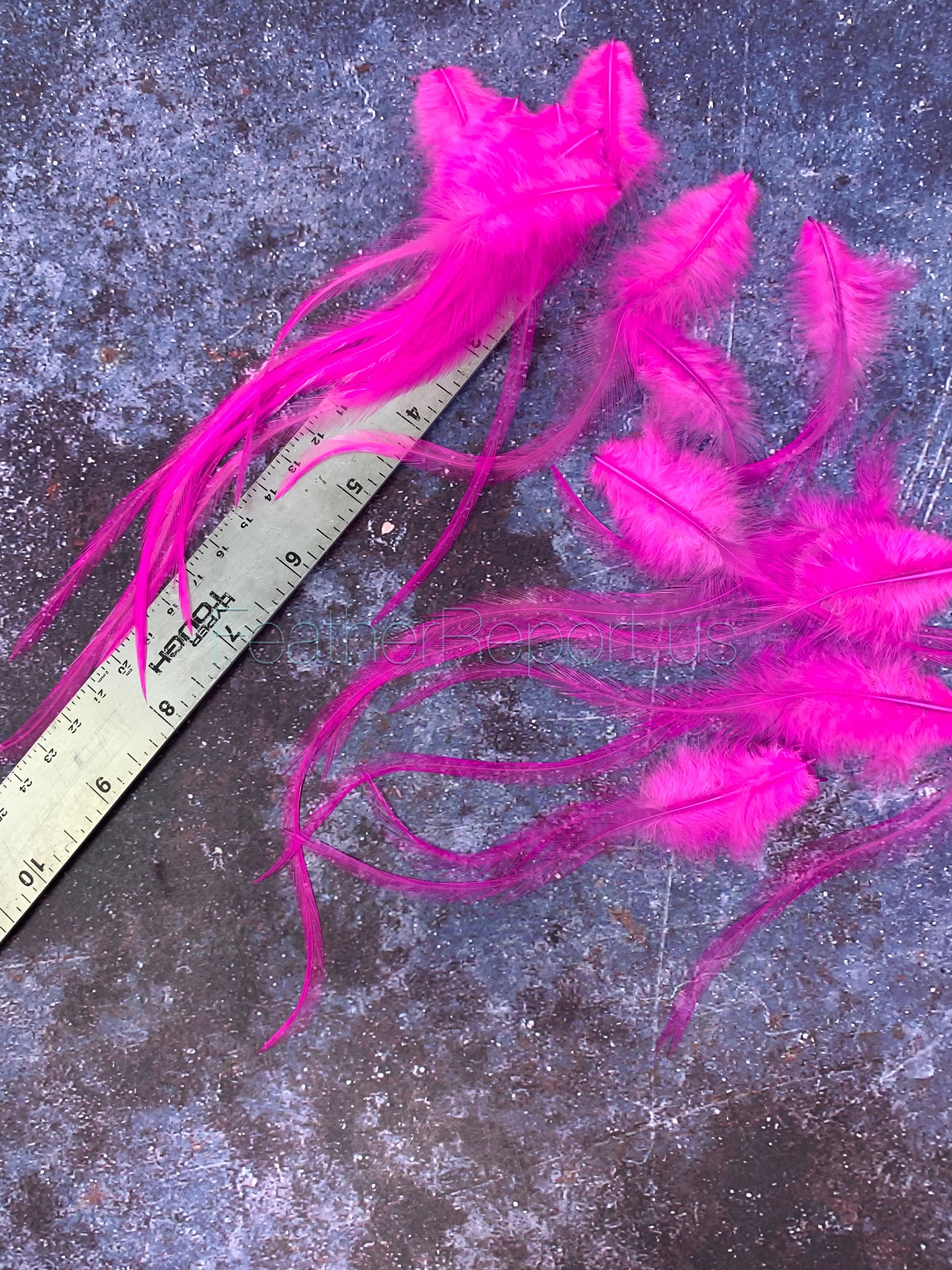 50 HOT PINK ROOSTER SADDLE HAIR CRAFT FEATHER 6-7"L 