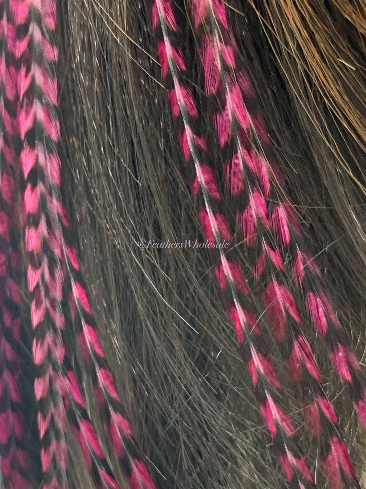 Extra Long Burgundy Hair Feather Extensions Long Hair Feathers Burgundy Feather Extensions Grizzly Rooster Feathers for Hair 10PCS Etsy