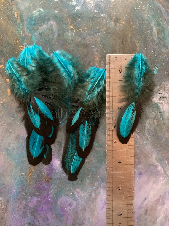 Fly Tying Feathers, 1 Dozen - Turquoise Blue Grizzly Rooster Chickabou  Fluff Feathers