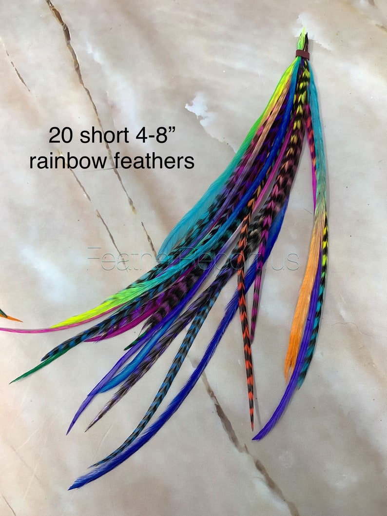 Hair Feathers Rainbow Hair Accessories Long Feather Hair Extensions Rainbow Colored Real Rooster Feather Extensions DIY Kit 20 4-8" / NO Beads