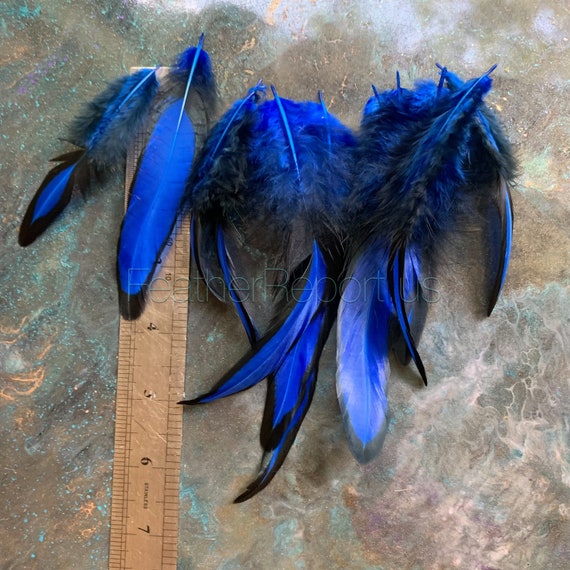 Natural Craft Feathers Bulk Earring Feathers for Earrings Fly Tying Feathers  Patterned Thin Craft Feathers Feather Extensions 25 per Pack 