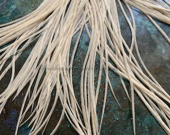 Plumas finas de gallo color crema, color blanco, para manualidades, 15 paquetes (8-13 pulgadas)