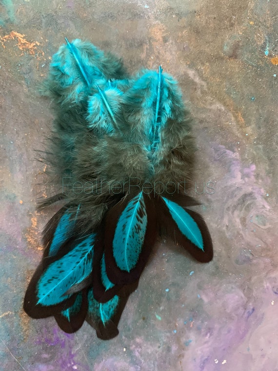 Turquoise Blue Craft Feathers Laced Hen Saddle Small Feathers for