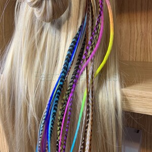 Long Feathers for Hair Extensions Rainbow Natural Mix of 20 Premium Quality XXL Hair Feathers Blues Purples Pinks Grizzly Solid 14to17inches