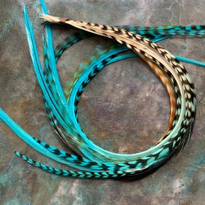 Puede incluir: Un manojo de plumas de color azul turquesa y negro con puntas blancas. Las plumas est&aacute;n dispuestas en c&iacute;rculo y tienen un aspecto natural y r&uacute;stico.